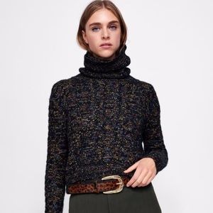ZARA | Multicolor Turtleneck Cropped Sweater